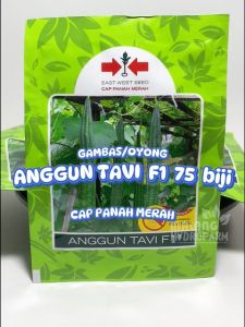 Benih Gambas / Oyong Anggun Tavi F1 75 butir Cap Panah Merah dataran rendah biji bibit sayur jaka hydroponik hidroponik