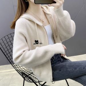 Trendy Knitted Hat Woolen Cardigan Top Womens Autumn Fashionable Zipper Long Sleeve Loose Fit Korean Style Pure Color