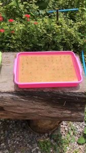 ฟองน้ำปลูกผักไฮโดรโปนิกส์ ฟองน้ำเพาะเมล็ด เนื้อละเอียด แบบมีขอบ 100 แผ่น