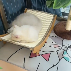 【SG🚚】Sisal Cat Scratch Board Wear-resistant /Training Toys and Non Shedding Cat Nest Integrated Anti-Scr Cat Bed Large Size