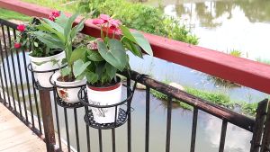 กระถาง ชั้นวางต้นไม้ แขวนระเบียง ชั้นวางแคคตัส flower stand แต่งสวน