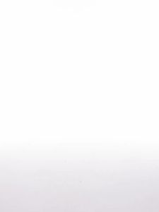 BEIQIANI | Regular Shoulder Simple Embroidered Square Collar Short Sleeve T-Shirt