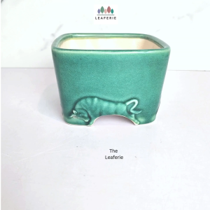 The Leaferie Bonsai Pot (Series 62) Square Plant pot Ceramic Mini Flowerpot Small succulent pots