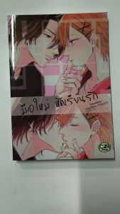 การ์ตูนวาย B2 มือใหม่หัดเรียนรัก