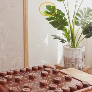 Board Games For Family Chess Board Carrom Board Full Set Chinese Chess Set High-Grade Solid Wood Large 中国象棋