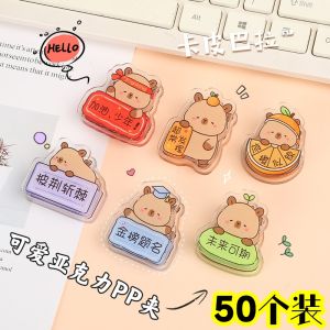 Creative Gift Gift for Activity Practical Gift Cardboard Cavy Student Junior High School Class Prize Full of Creativity