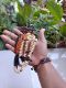 Mahen Craft
