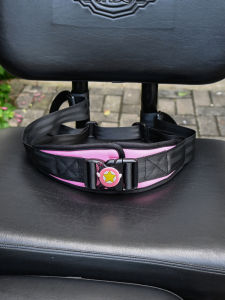 Electric Tricycle & Child Safety Belt: A Comprehensive Guide