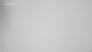 NEEWER Basic 5" Ring Light for Video Conference Lighting Clip on Light Kit with Desk Tripod for Monitor Laptop Computer