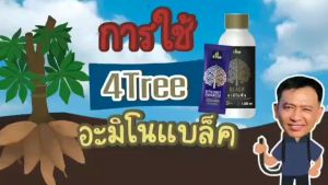 ชุด คู่ระเบิดหัวมัน 4-5 ไร่ ส่งฟรี ชุดคู่ขายดี หัวมันเพิ่มแป้ง หัวดก หัวใหญ่ ได้น้ำหนักดี