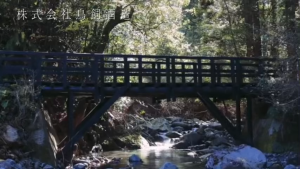 (3/6 Bottles) Ginka Torikai Kome Shochu 720ml 25% Rice Shochu with Gift Box