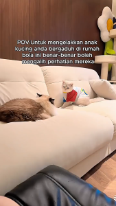 Mainan Pet Bola Listrik Bergulir Cerdas Hewan Peliharaan Interaktif Otomatis Bergulir Bola Anabul