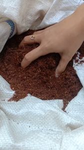 Serbuk Kelapa Cocopeat Halus Kemasan 1kg