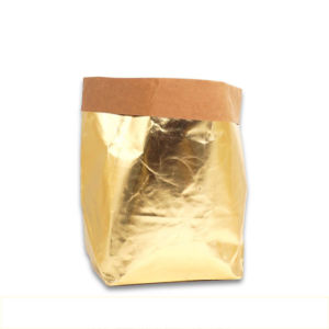 Scandinavian Washable Kraft Paper Bag Flowerpot Ins Style Home Storage Bag Refrigerator Vegetable Storage Green Plant Succulent Flowerpot
