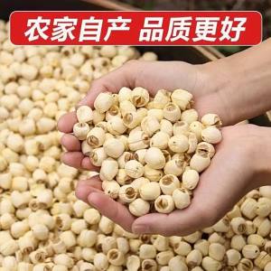 Hạt Sen Trắng Handcrafted Từ Nông Trường 500g