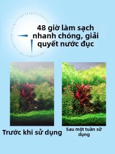 Netlea | Viên Nitrifying Bacteria Làm Sạch Nước