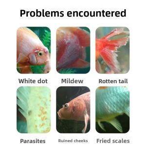 MONLEYTA | Methylene Blue Fish Medicine For Aquarium Fish Special White Spot Clean Treatment Against Water Mold Disease Fish Tank Disinfection