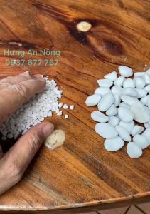 Đá Perlite trân châu 2 lít – giá thể siêu nhẹ thoáng khí trộn đất trồng cây (size 3-6mm / 6-12mm)