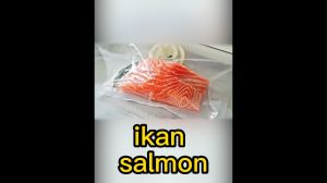 LAHOME Vacum Sealer Food Mesin Pengemas Vakum Mesin Vacum Sealer Makanan FOOD GRADE Free 10 kantong vakum Alat Vakum Makanan Mesin Vacum Makanan Vacuum Sealer Mesin FRESH Makanan Food Packing Machine Automatic Food Sealer mesin Basah dan Kering  Sealer