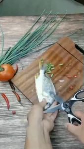 Sharp Japan Stainless Steel Scissors School Sewing Kitchen Gardening Car House Plants Kids Men Women Fabric Tools USA