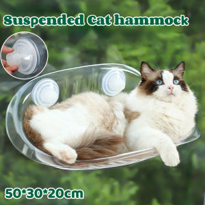 Floating Cat Hammock Wall Mount Transparent Cat Nest Kitten Wall Shelves Play Climbing Suplies