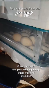 【12V/220V DUAL POWER】Egg Incubator 130/72 Eggs Fully Automatic Egg Incubator Intelligent Digital Hatcher Brooder With Temperature Control And Auto Turning For Hatching Chicken Duck Goose Quail Birds Incubators for Farm