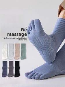 JINGCHI | Tất ống giữa 5 ngón nam chống mùi thể thao mùa xuân thu đông tất cotton nguyên chất màu trơn tất ống giữa tay ngón chia đôi