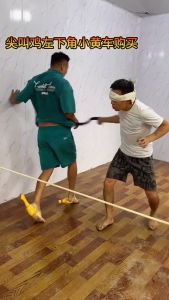 Đồ Chơi Con Gà Cho Chó Mèo Chơi Giảm Stress Kích Thước 32cm HTV