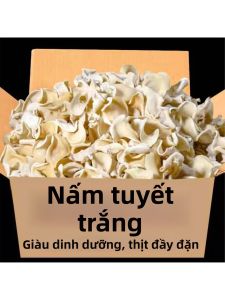 Nấm Bạc Hà Chính Hiệu Đông Bắc 500g