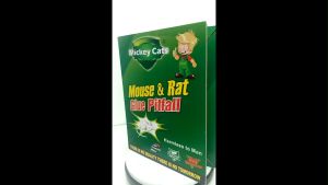 26 x 33CM EXTRA LARGE Mouse Glue Trap Perangkap Gam Getah Pelekat Tikus Besar Kuat Big Board Rat Catcher Pest Control