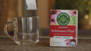 Traditional Medicinals Organic Echinacea Plus® Original with Spearmint Caffeine Free 16 Wrapped Tea Bags 0.85 oz (24 g)