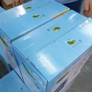 เครื่องพ่นยา 12ลิตร ถังพ่นยาไฟฟ้า เครื่องพ่นยาแบตเตอรี่ ถังฉีดยา ตราจระเข้ (สินค้าใหม่)