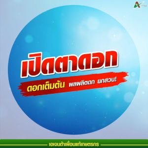 เปิดตาดอก ยืดช่อดอก สาหร่ายเขียว ไซโตไคนิน ยืดช่อดอก ติดดอกดก ช่อดอกยาว ดอกอ้วน ติดผลดก เอเจนต้า คอร์ป (500 ซีซี)