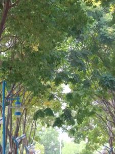 BIG Megaphone Speaker Bullhorn Siren Alarm Megaphone Speaker For Sale Sound Speaker - Lazada