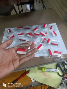 pin Indonesia