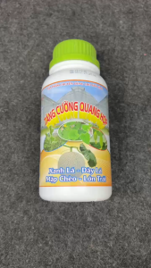 TĂNG CƯỜNG QUANG HỢP – GIẢI PHÁP LÀM CÂY XANH NHANH DÀY LÁ MẬP CHÈO VÀ LỚN TRÁI RÕ RỆT