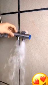 SUS304 Hentikan Keran Cabang Kepala Ganda Bahan Stainless Steel Kamar Mandi Keran Shower Stop Gate