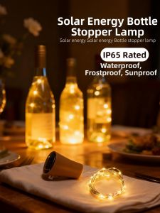 BEAUTY IN THE LIGHT | Solar LED String Lights Outdoor Decor