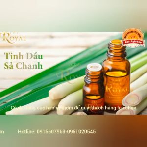 Tinh dầu nguyên chất Arabian - Triết xuất 100% từ thiên nhiên - Nhiều mùi - Chai 15ml