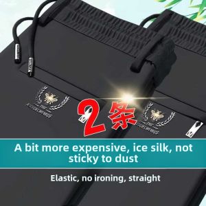 Export Cut Label Ice Silk Leisure Pants Mens Summer Thin Loose Straight Elastic Waist Stretch plus Size Exercise Pants