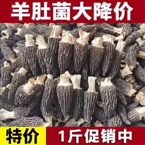 Fresh Wild Morel Mushroom Soup Pack 500g