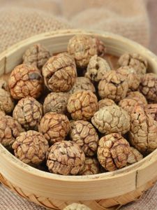 Spice Cameo Cardamom G Cameo Cameo Cameo Cameo Cameo Cameo Cameo Cameo Cameo Cameo Cameo Cameo Cameo Cameo Cameo Cameo