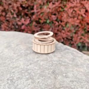 Mô Hình Lắp Ráp Vòng Năng Lượng Mặt Trời Bằng Gỗ Kích Thích Tư Duy Cho Trẻ Đồ Chơi Khoa Học Stem