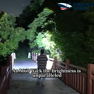 SMILING SHARK TD3001 LED Headlight Super Bright M60 7000LM 4Mode Work Head Lamp Type-c Rechargeable Waterproof Outdoor Fishing Camping