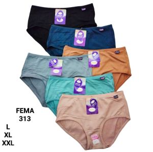 CD CELANA DALAM IMPORT JAHITAN BELAKANG IMPORT FEMA CEWEK WANITA PEREMPUAN ADEM LEMBUT MELAR ELASTIS LEMBUT MURAH PREMIUM