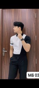 áo thun polo Nam phối trắng đen cao chất polyester mềm mịn co giãn thoáng mát