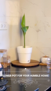 LOCAUPIN Plant Pot Set Indoor Flower Pot Plastic with Removable Tray Home Decor Office Desk Garden Supplies Growing Pots