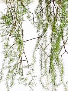 140cm Artificial Hanging Plant Ivy Wall Decoration Fake Pine Branches 1 Bunch 5 Forks Indoor Outdoor Home Decor DIY Garland