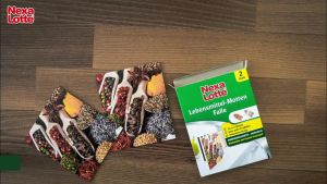 [Chuẩn Đức] Bẫy mối mọt thực phẩm Nexa Lotte hộp 2 tấm | Giữ thực phẩm khô an toàn không mùi trong tủ bếp