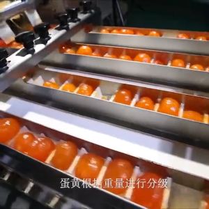 (in Stock) Gaoyou Red Heart Salted Duck Egg Yolk 20pcs Medium Medium Raw Salted Yolk-200g